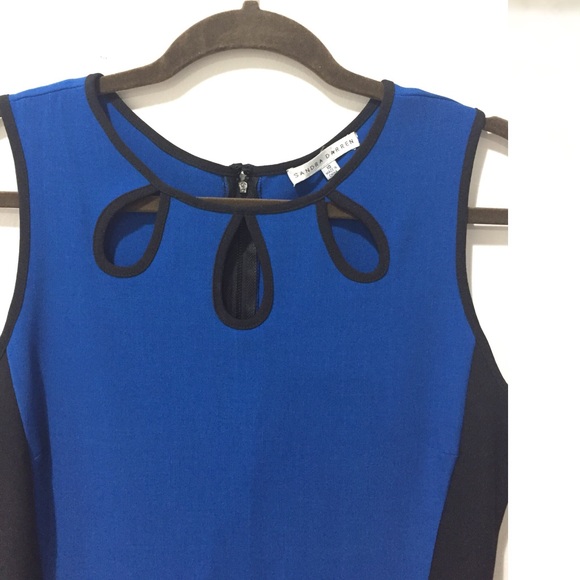 Sandra Darren Color block Teardrop cutouts dress - Picture 4 of 6